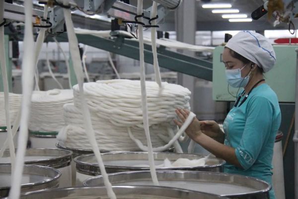 塔城地区棉纺企业成绩单出炉 一季度生产棉纱1.9万吨，同比增加34.6%