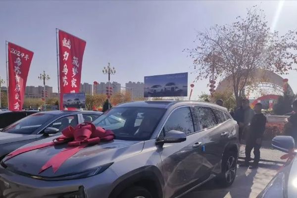 汽车、家电都有补贴！塔城地区积极落实以旧换新政策