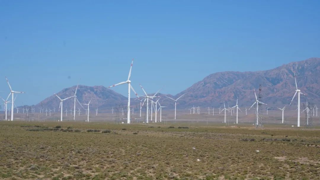 W020250714673733008245.jpeg W020250714673733008245.jpeg