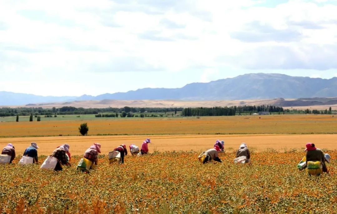 W020250811405868388710.jpeg W020250811405868388710.jpeg