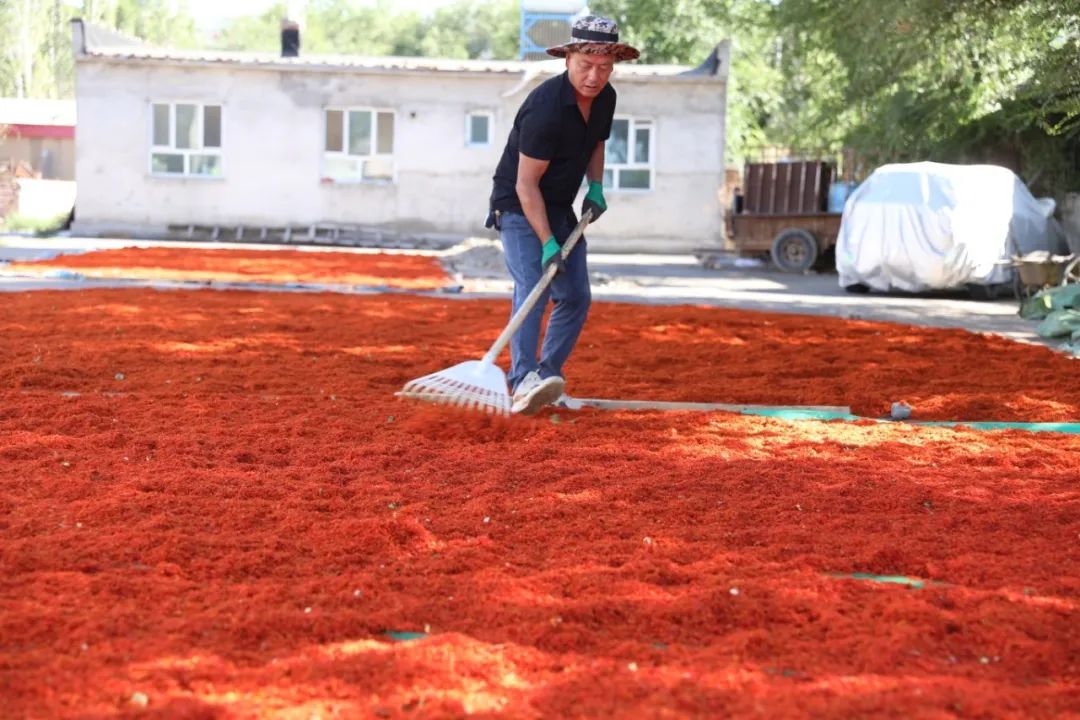 W020250811406163847375.jpeg W020250811406163847375.jpeg