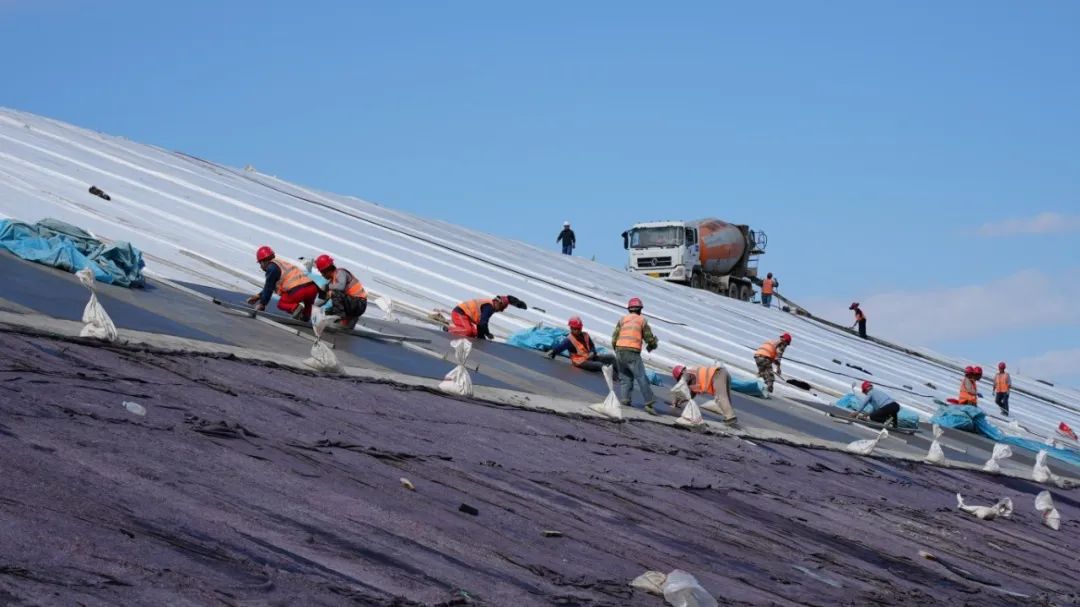 W020250812633224743150.jpeg W020250812633224743150.jpeg