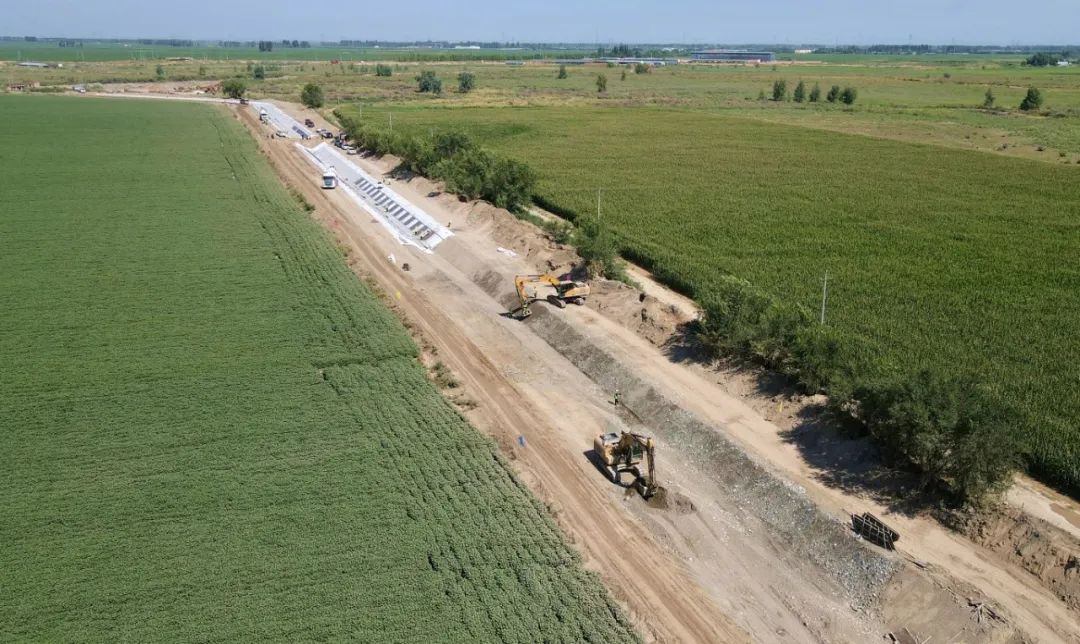 W020250731375911882606.jpeg W020250731375911882606.jpeg