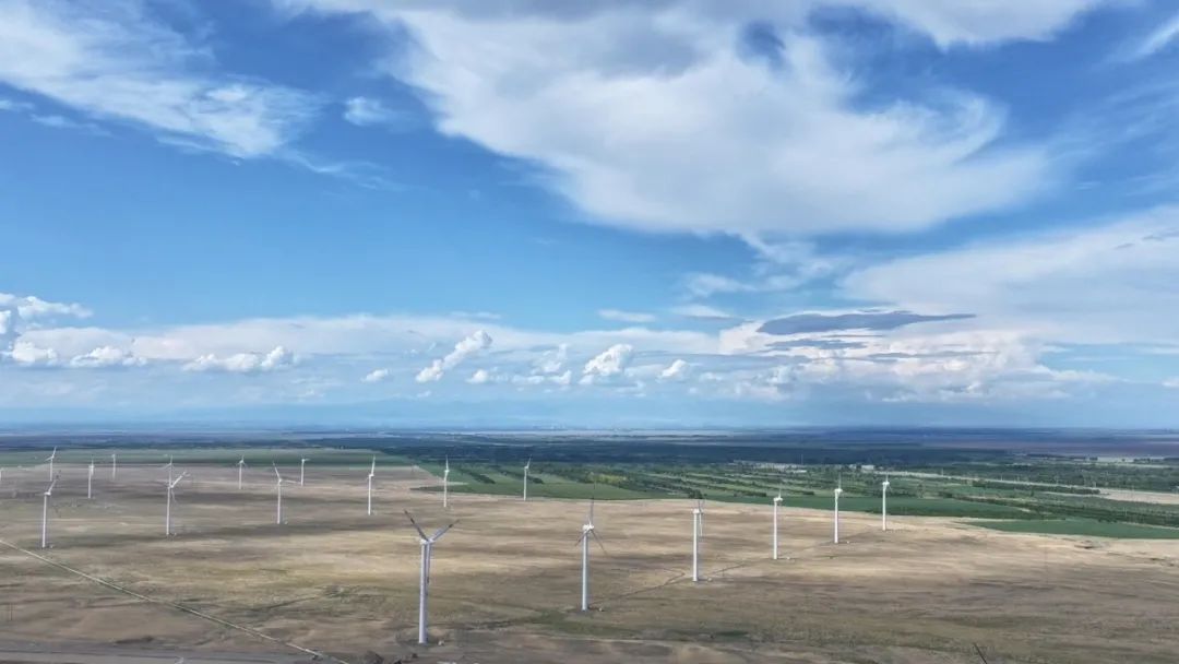 W020250730699644267558.jpeg W020250730699644267558.jpeg