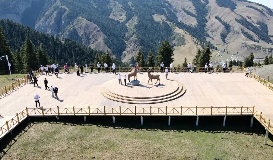 W020250831397588085208 (1).jpeg