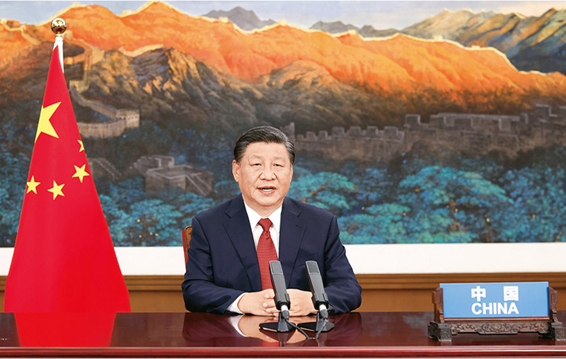 202510152130054466.jpeg 202510152130054466.jpeg