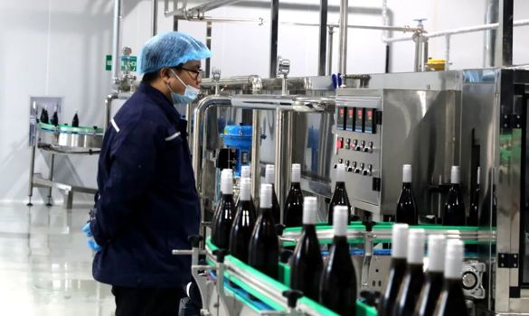 树莓做酒！ “沙湾好物”又添新品~