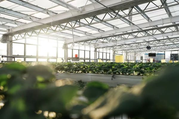 日新月异看塔城｜一水两用生态循环~塔城立体智慧农业激活乡村振兴“一池春水”