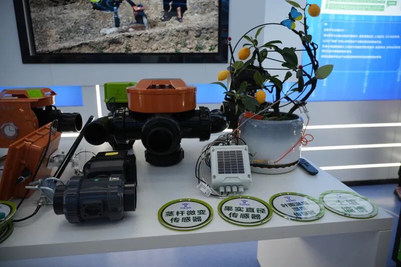 mmexport1770346353375