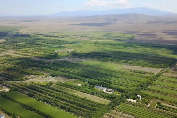 绘就生态新画卷 筑牢绿色压舱石——塔城地区林草事业发展成就综述