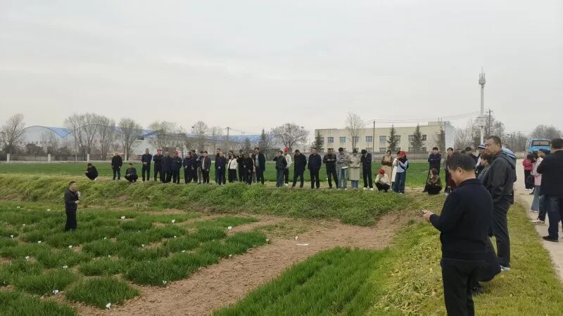 mmexport1774184002635