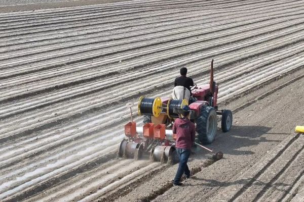 开局·春耕忙 | 抢抓农时忙春播 科技助力稳增产