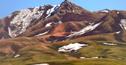 油画塔城·春色满园 | 四月塔城 尽览春日盛景