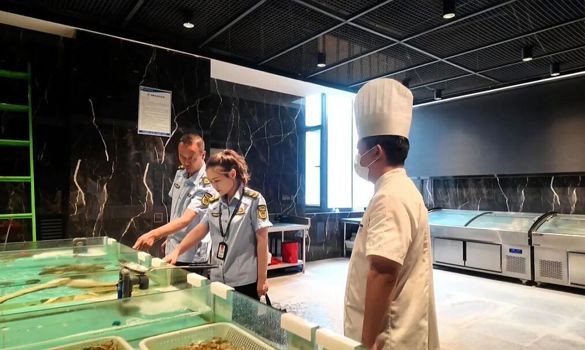 严把食品安全关 护航手风琴文化国际艺术节