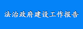 法治政府建设工作报告