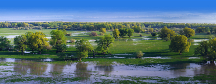 心之所向 爱上塔城