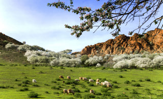 边疆古城   塞上粮仓   山川额敏