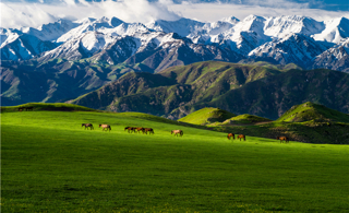 养生福地 味道沙湾