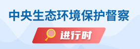 中央生态环境保护督察进行时